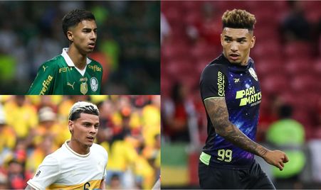 花开北海 花开北海